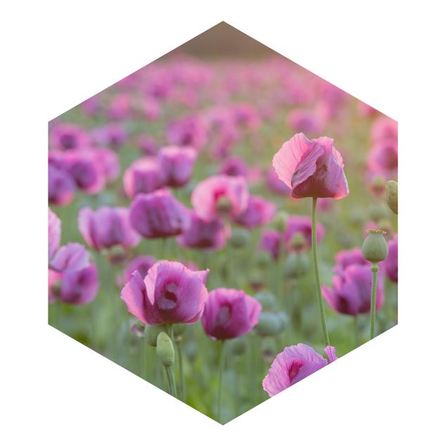 Wanddeko Blume Violette Schlafmohn Blumenwiese im Frühling