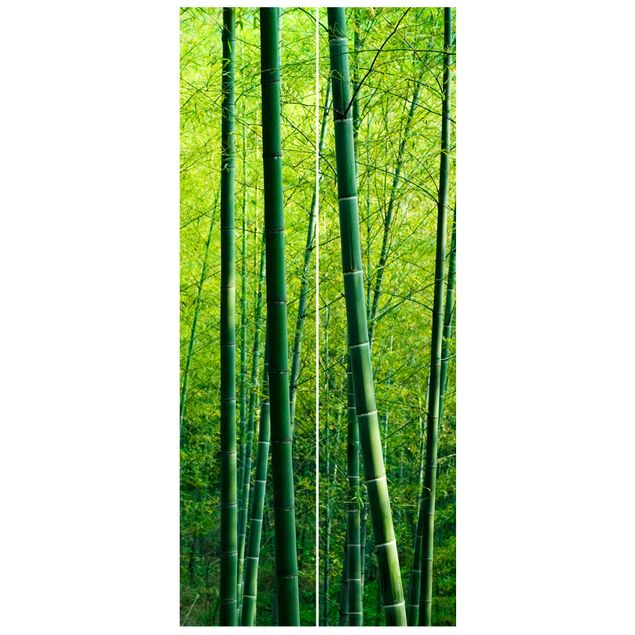Wohndeko Botanik Bambuswald