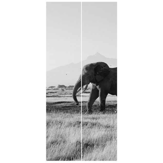 Wanddeko Flur Elefanten vor dem Kilimanjaro in Kenya II