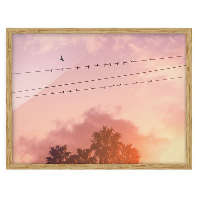 Wanddeko pastell Vögel auf der Stromleitung