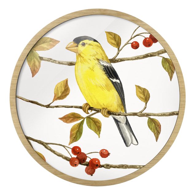 Wanddeko Büro Vögel und Beeren - Goldzeisig