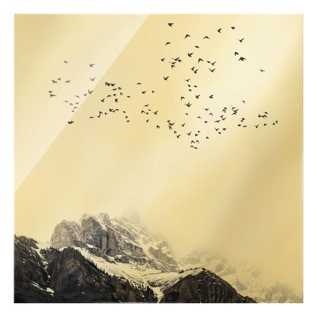 Glasbild Berg Vogelschwarm vor Bergen Schwarz Weiß