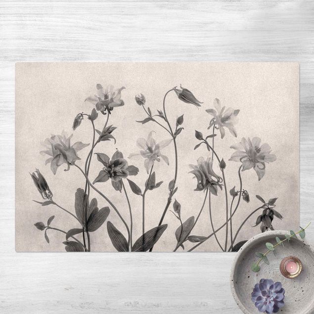 Wanddeko Blume Wald Akelei Schwarz-Weiß