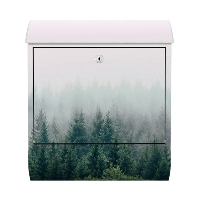 Deko Wald Wald im Nebel Dämmerung