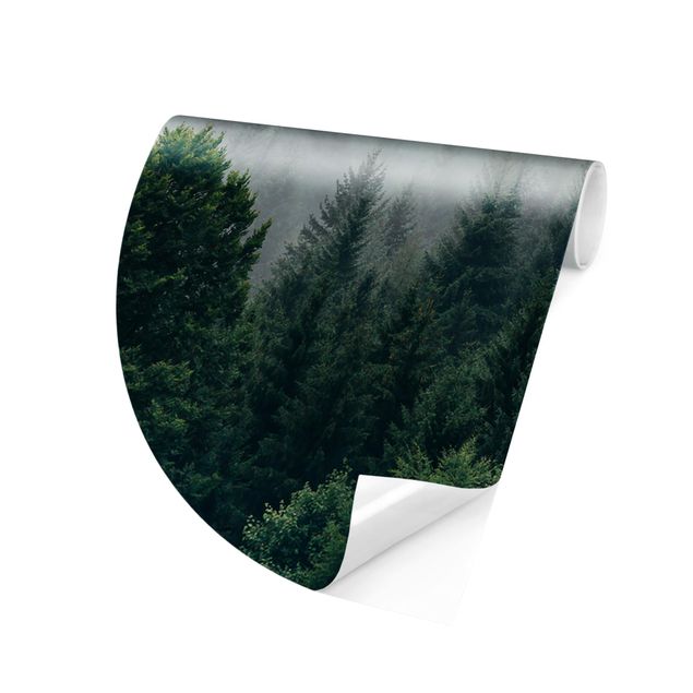 Wanddeko grün Wald im Nebel Dämmerung