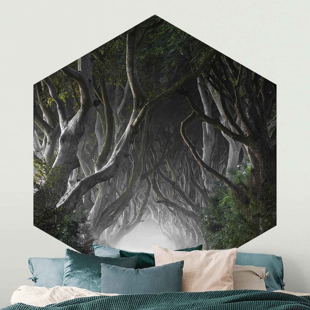 Wanddeko Schlafzimmer Wald in Nordirland