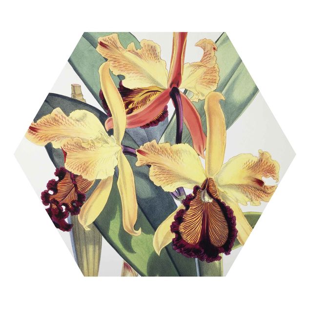 Wanddeko Flur Walter Hood Fitch - Orchidee