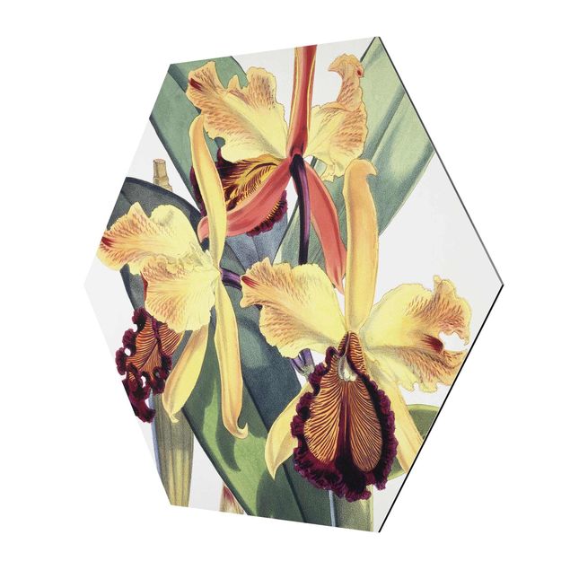 Wanddeko Büro Walter Hood Fitch - Orchidee