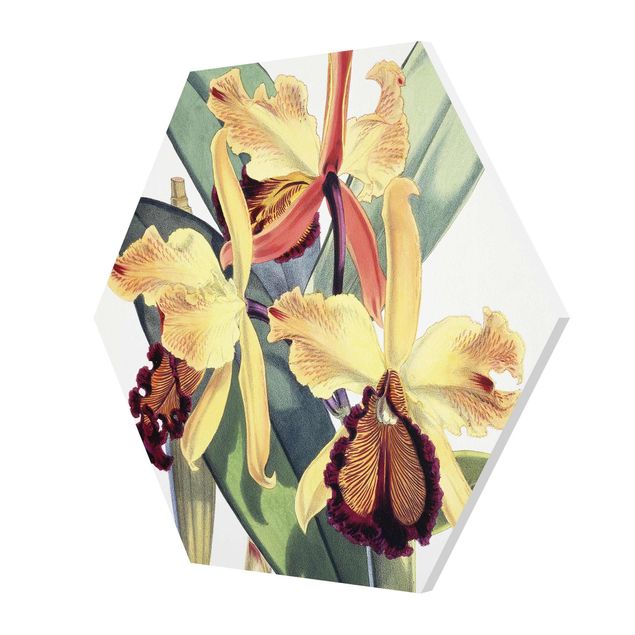 Wanddeko Büro Walter Hood Fitch - Orchidee