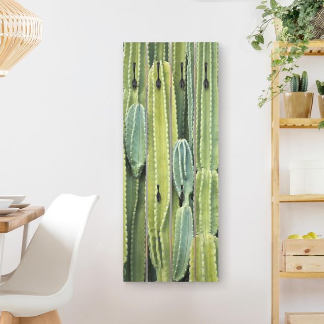 Deko Botanik Kaktus Wand