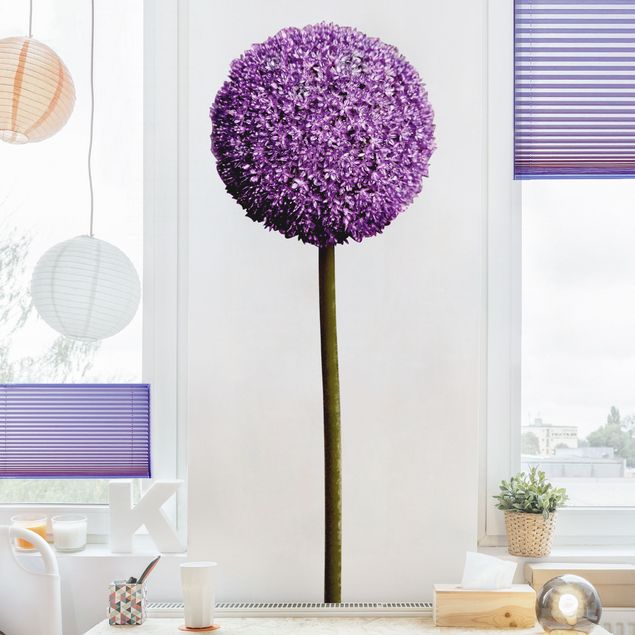 Wanddeko Botanik Allium Kugel-Blüten 1er Set