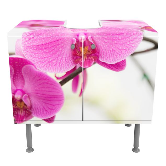 Wohndeko Blume Nahaufnahme Orchidee