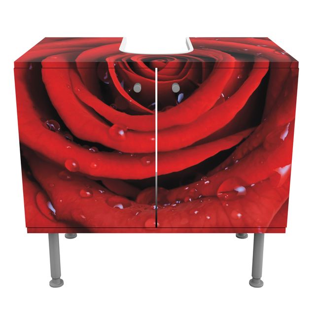 Wanddeko rot Rosen Rote Rose mit Wassertropfen