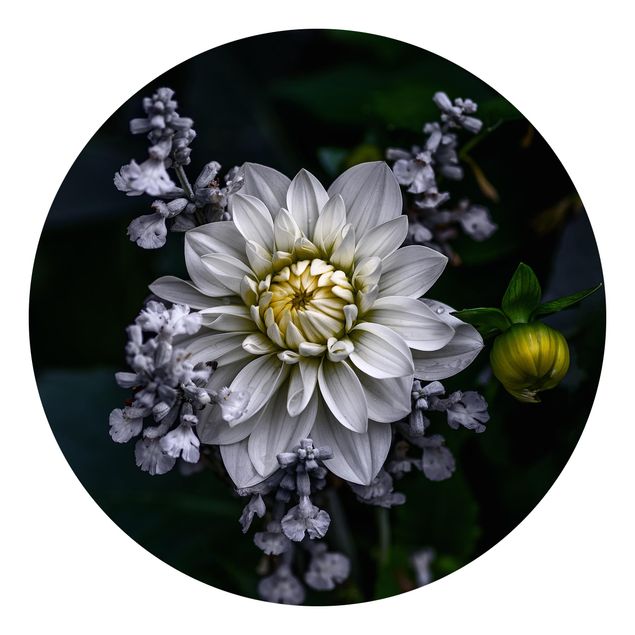 Wanddeko Blume Weiße Dahlie