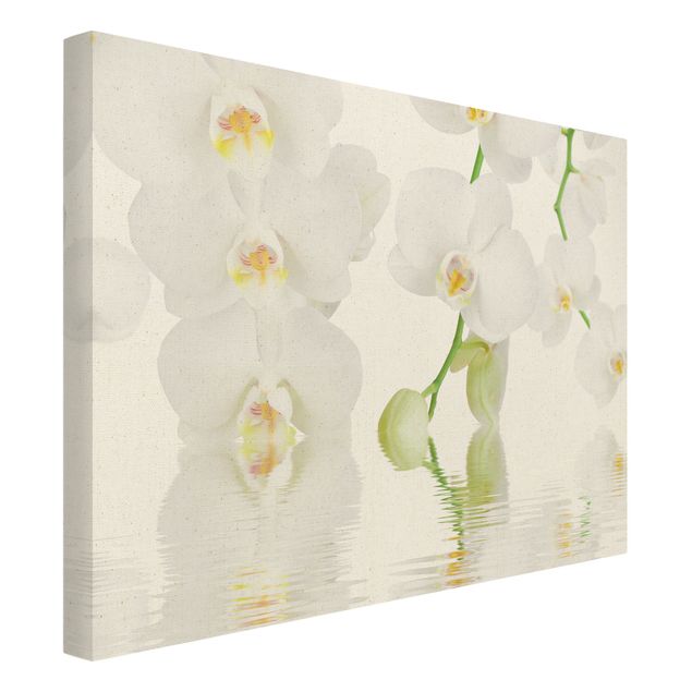 Wanddeko Esszimmer Wellness Orchidee - Weiße Orchidee