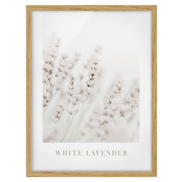 Wanddeko Blume White Lavender
