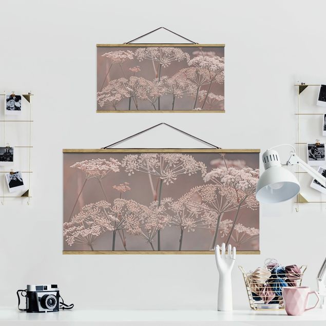 Wanddeko Büro Wilde Doldenblüten