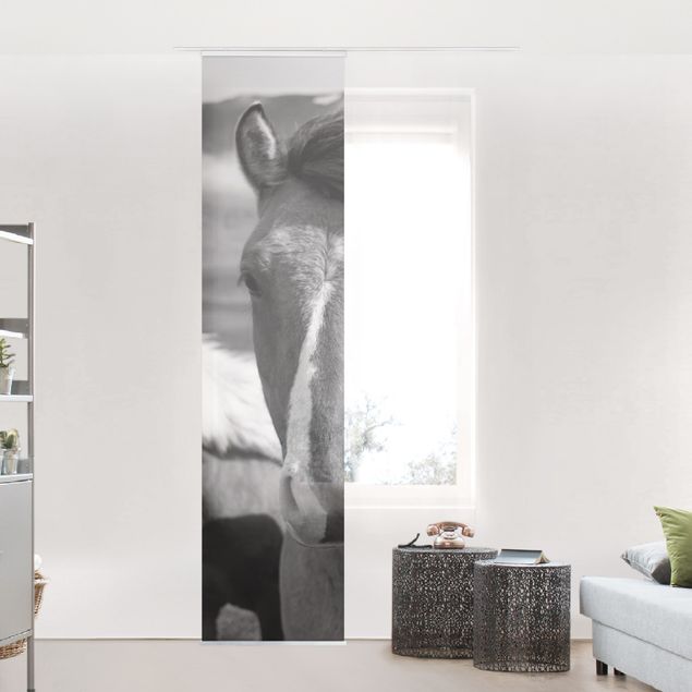 Wanddeko Wohnzimmer Wildpferde Schwarz-Weiß