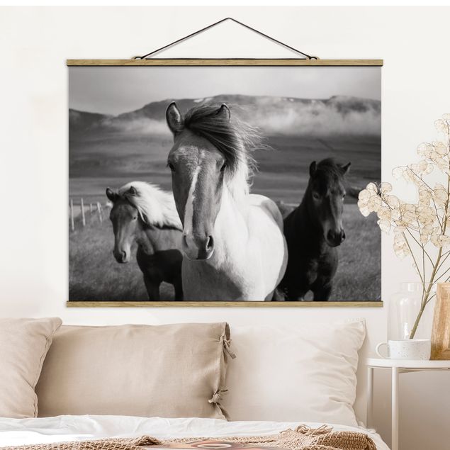 Wanddeko Wohnzimmer Wildpferde Schwarz-Weiß
