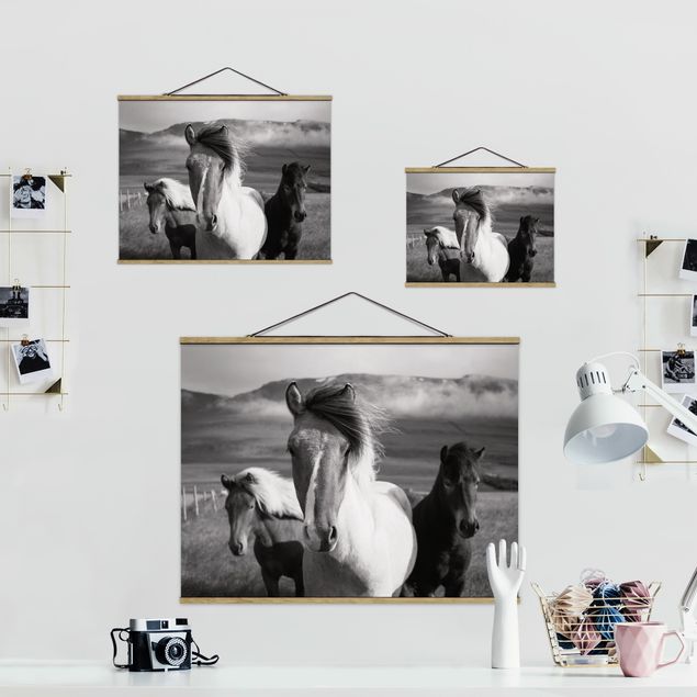 Wandbilder Pferde Wildpferde Schwarz-Weiß
