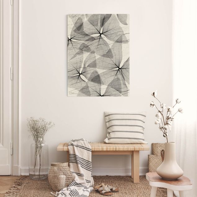 Wanddeko Pflanzen X-Ray - Dreiecksklee mit Textil