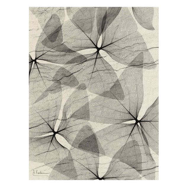 Wanddeko schwarz-weiß X-Ray - Dreiecksklee mit Textil