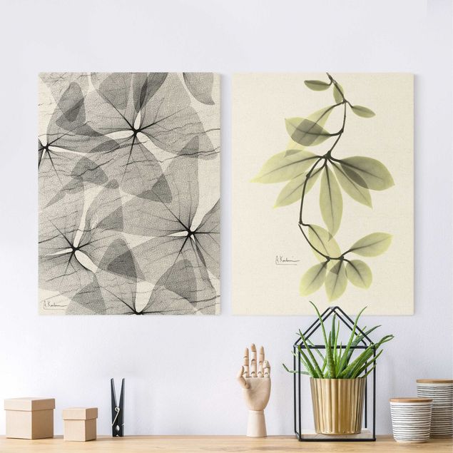 Wanddeko Wohnzimmer X-Ray - Dreiecksklee und Porzellanblumenblätter