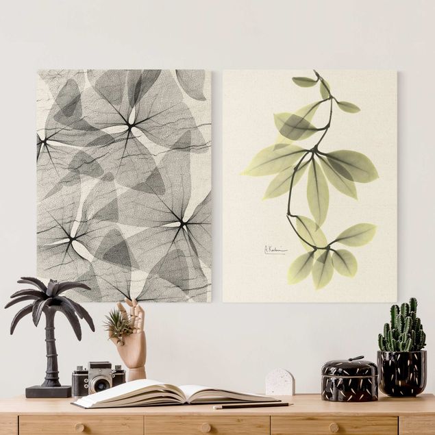 Wanddeko Büro X-Ray - Dreiecksklee und Porzellanblumenblätter