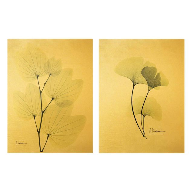 Wanddeko grün X-Ray - Orchideenbaumblätter & Ginko