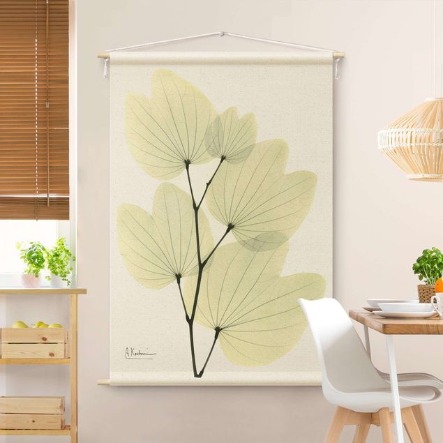 Wanddeko Schlafzimmer X-Ray - Orchideenbaumblätter