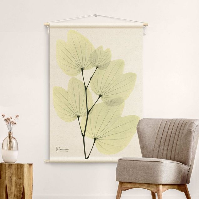Wanddeko Flur X-Ray - Orchideenbaumblätter