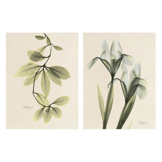Wohndeko Pflanzen X-Ray - Porzellanblumenblätter & Schwertlilie