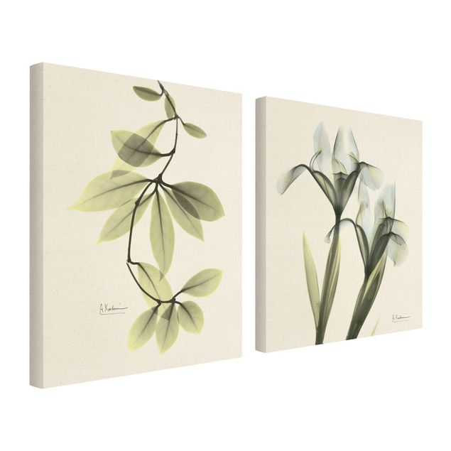 Wanddeko über Sofa X-Ray - Porzellanblumenblätter & Schwertlilie