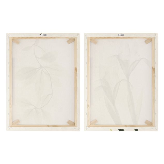 Wohndeko Fotografie X-Ray - Porzellanblumenblätter & Schwertlilie