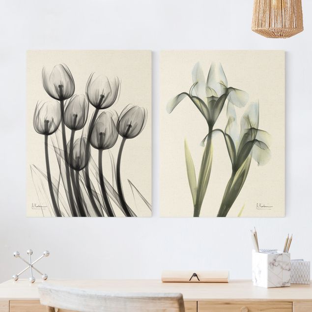 Wanddeko Wohnzimmer X-Ray - Tulpen & Schwertlilie