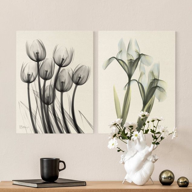 Wanddeko grün X-Ray - Tulpen & Schwertlilie