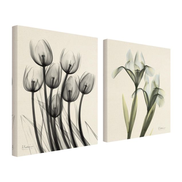 Deko Pflanzen X-Ray - Tulpen & Schwertlilie
