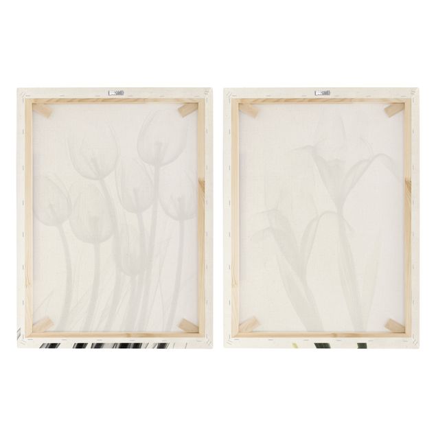 Wanddeko Praxis X-Ray - Tulpen & Schwertlilie