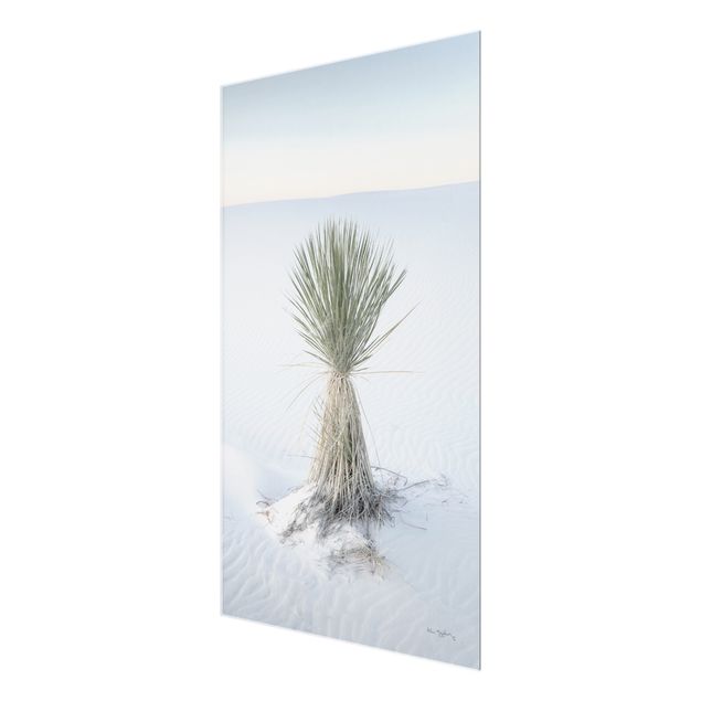 Wanddeko über Bett Yucca Palme in weißem Sand
