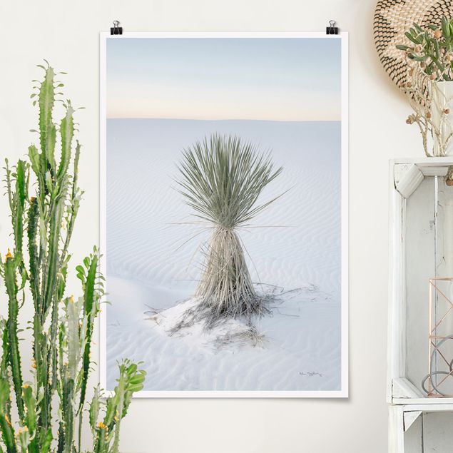Wanddeko blau Yucca Palme in weißem Sand
