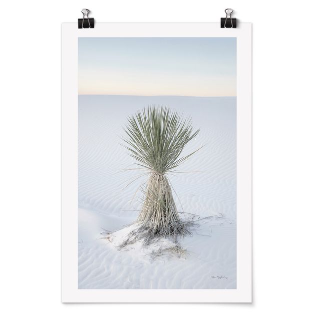Wanddeko über Sofa Yucca Palme in weißem Sand