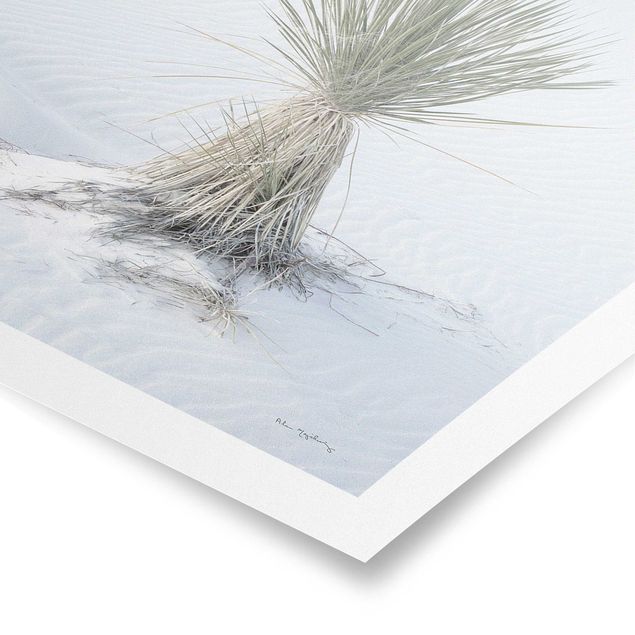 Wanddeko über Bett Yucca Palme in weißem Sand