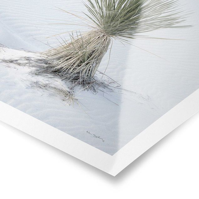 Wanddeko Gäste WC Yucca Palme in weißem Sand