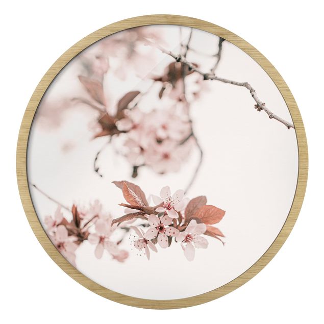 Wanddeko über Sofa Zarte Kirschblüten am Zweig