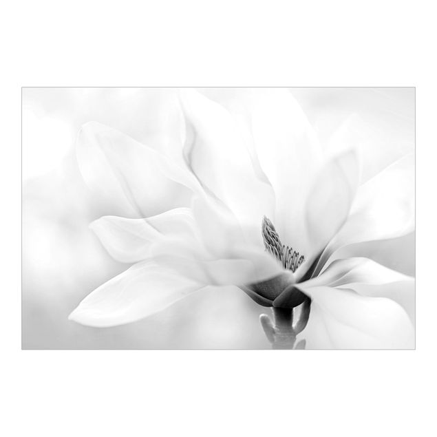 Wanddeko Esszimmer Zarte Magnolienblüte Schwarz-Weiß