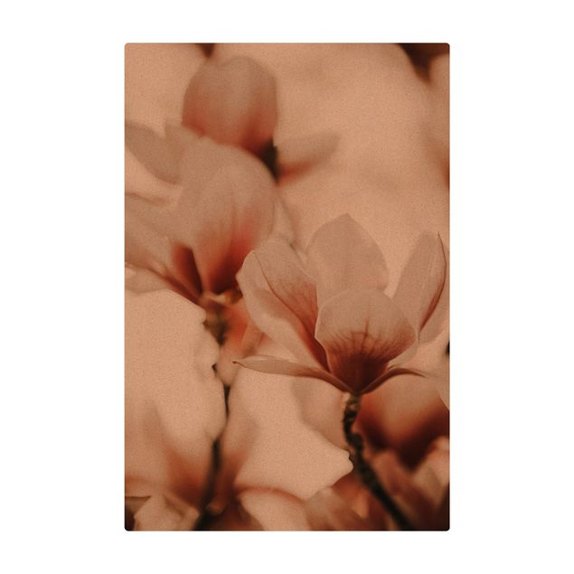 Wanddeko Praxis Zarte Magnolienblüten im Lichtspiel