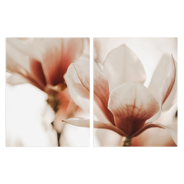 Deko Fotografie Zarte Magnolienblüten im Lichtspiel