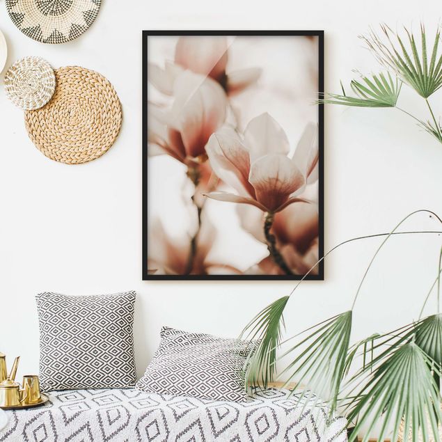 Wanddeko Wohnzimmer Zarte Magnolienblüten im Lichtspiel
