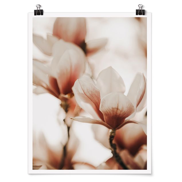Wanddeko Esszimmer Zarte Magnolienblüten im Lichtspiel