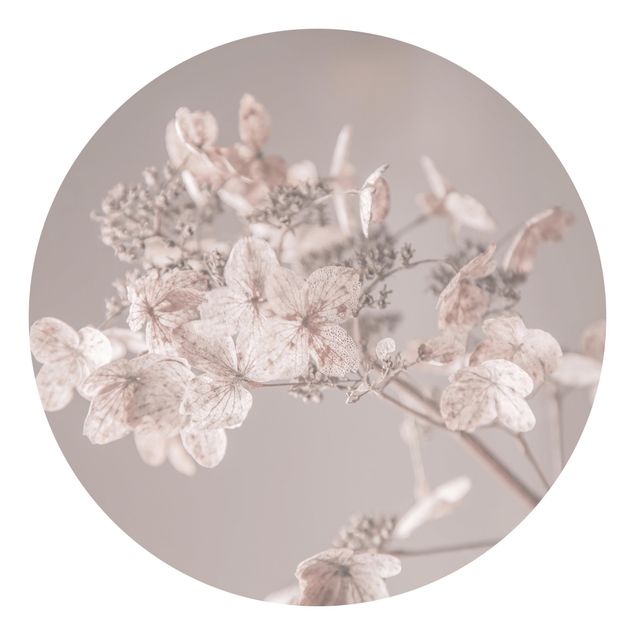 Wohndeko Blume Zarte weiße Hortensie